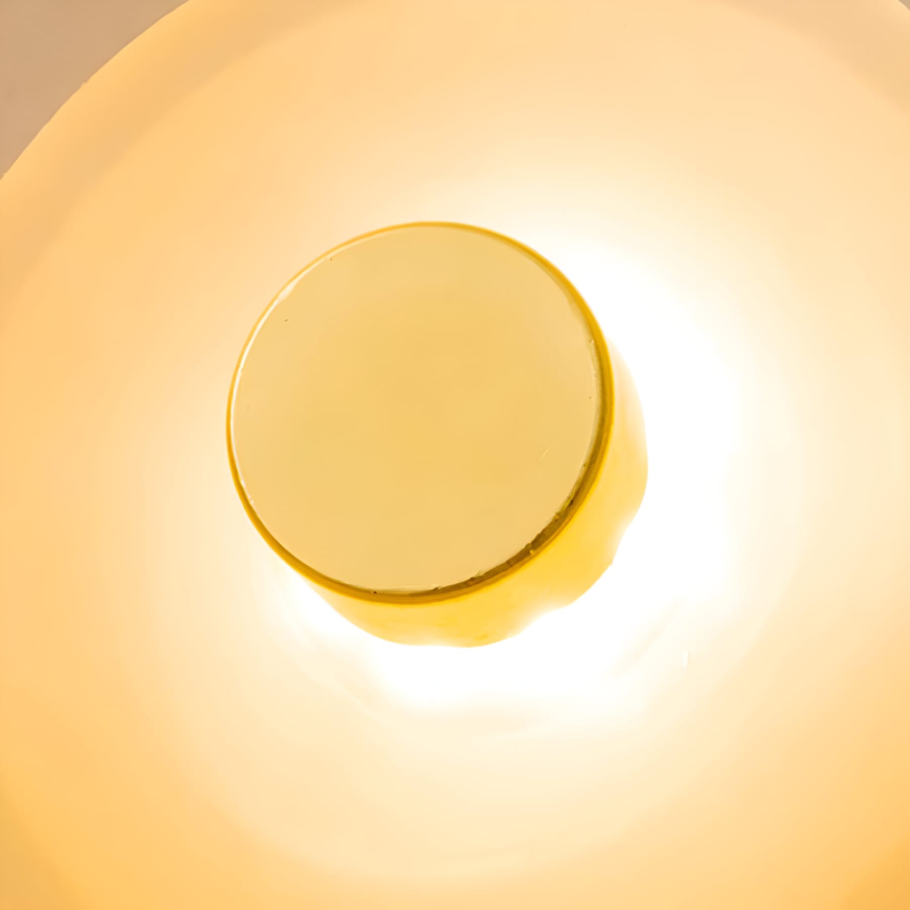 Modern Glass Wall Light With Warm LED Glow — Halden Lighting