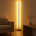 Minimalist Metal Floor Lamp With Tri-Colour Dimming in Black — Halden Lighting