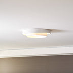 Modern Metal Flush Mount Ceiling Light With Cool Daylight Glow — Halden Lighting