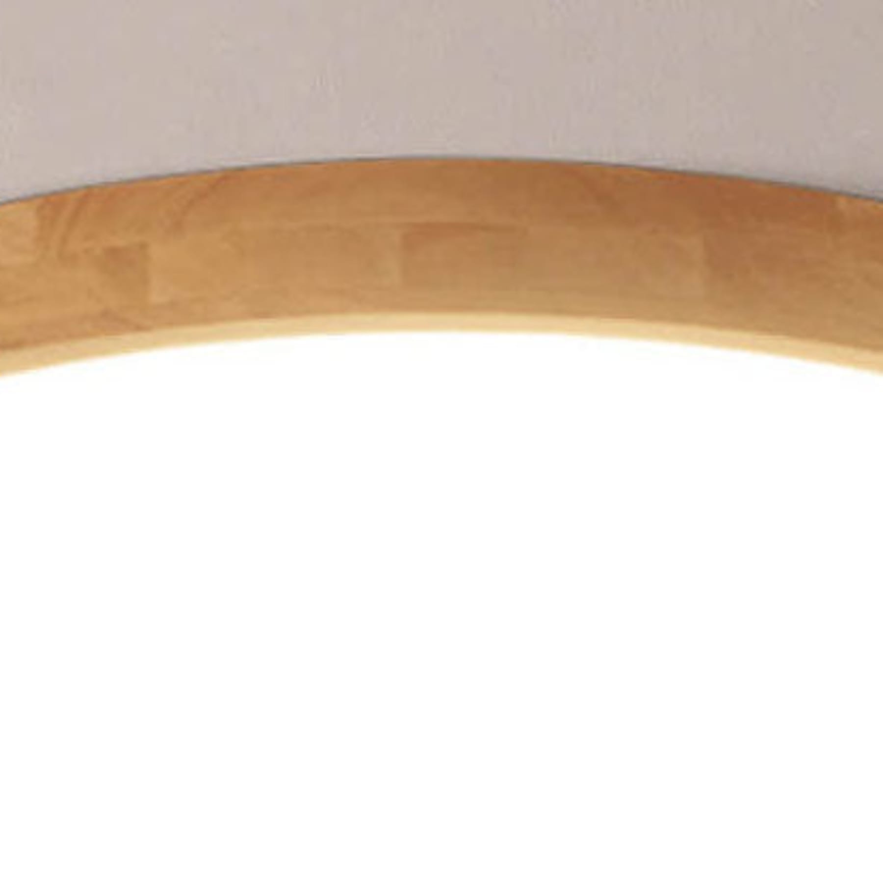 Scandinavian Wood Flush Mount Ceiling Light With Integrated LED — Halden Lighting